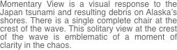 Momentary View is a visual