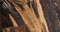WoodFall7419a