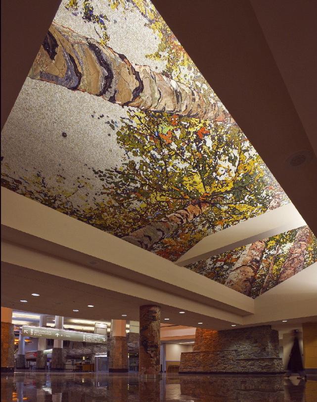 canopy1