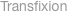 Transfixion