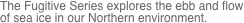 The Fugitive Series explores the