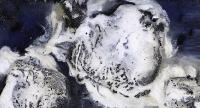SeaIceStudy1