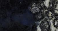 SeaIceStudy2