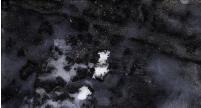 SeaIceStudy3