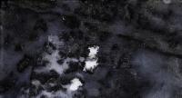 SeaIceStudy3