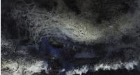 SeaIceStudy4
