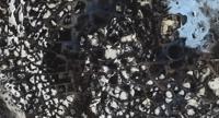 StrandedSeaIce