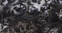 StrandedSeaIceDetail1