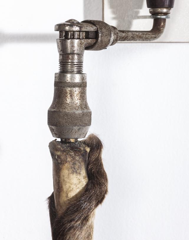 Drill