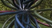 Spore1