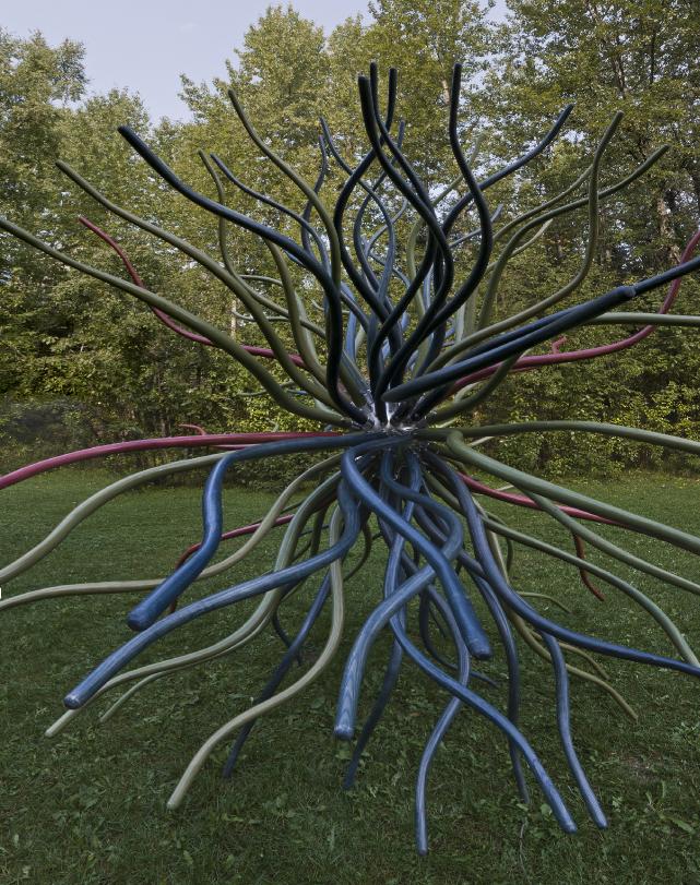 Spore