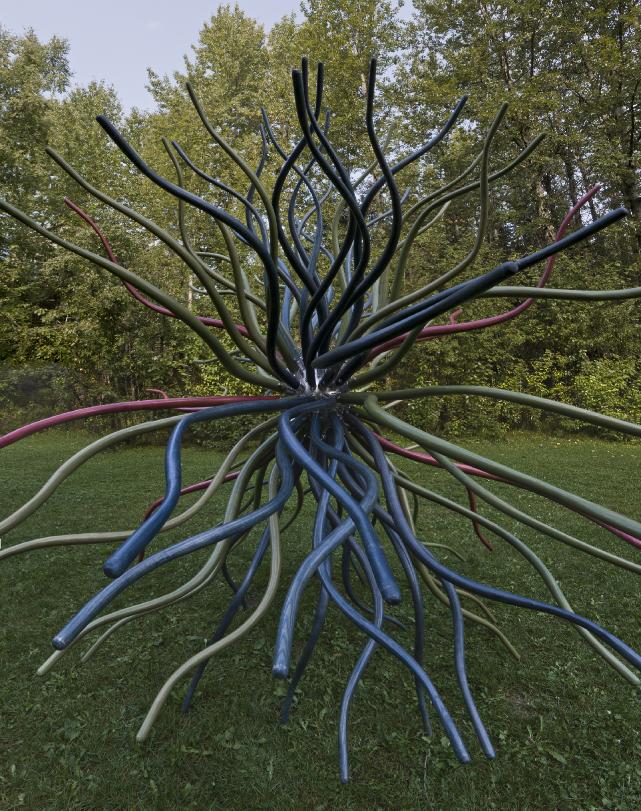 Spore